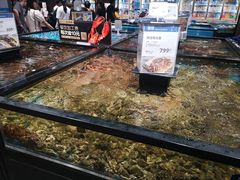 -盒马鲜生(皇庭广场店)