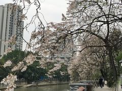 -红星桥(地铁站)