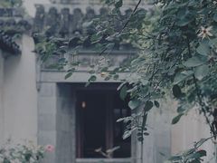 -艺圃