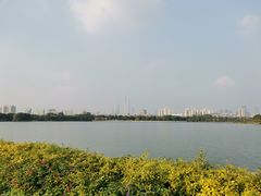 -海珠湖公园