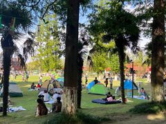 -黄海国家森林公园