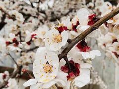 -李先生牛肉面大王(华联商厦店)