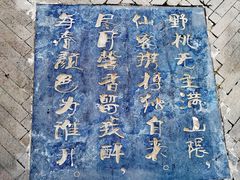 -桃花堤公园
