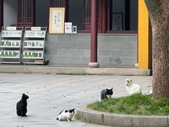 -西园戒幢律寺