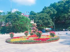 -广州市帽峰山景区