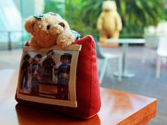 -济州岛泰迪熊博物馆