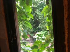 -斯多格书乡(北京大学畅春园店)