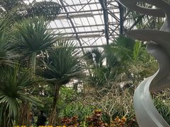 -南山植物园