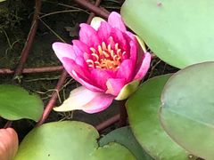 -白塘生态植物园