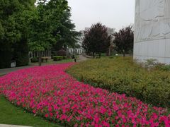 -宋庆龄陵园