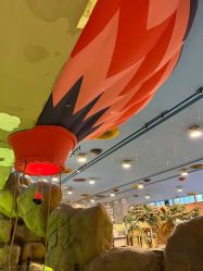 -卡通尼·Safari非洲探索乐园·生日会(金桥国际商业广场店)