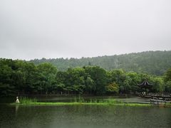 -旺山景区