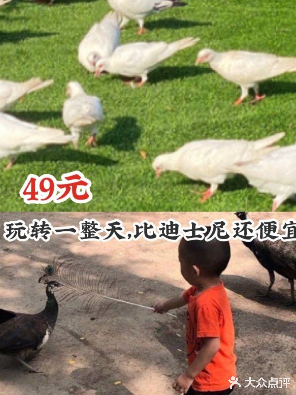 假期来了快带孩子来这，49元就能嗨玩一整天