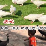 假期来了快带孩子来这，49元就能嗨玩一整天