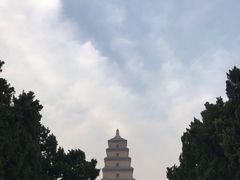 -回坊马二饺子馆