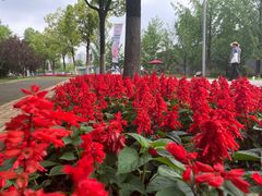 -武汉园博园(武汉自然博物馆)