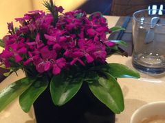 -广州中心皇冠假日酒店-环市食坊·海鲜自助餐厅