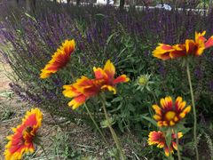 -北运河水利风景区