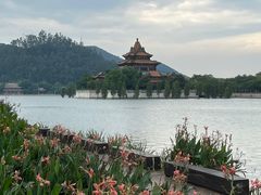 -顺峰山公园
