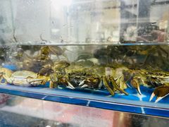 -二钳洞庭虾蟹·江湖菜(成都鹭岛店)