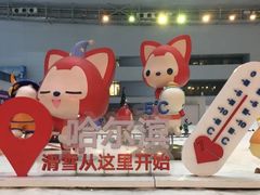 -哈尔滨热雪奇迹