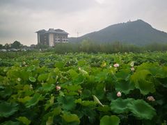 -湘湖金融镇