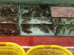 -红海湾豪记海鲜大排档