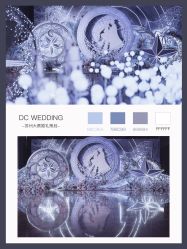 -DC大蔡婚礼策划(李公堤店)