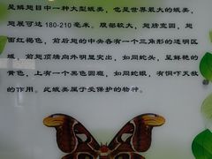 -上海昆虫博物馆