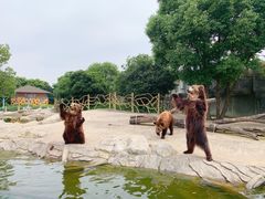 -常州淹城野生动物世界