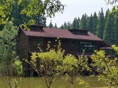 -黄海国家森林公园