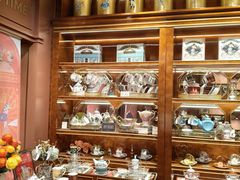 -布兰兔的植物庄园(杭州南宋御街店)