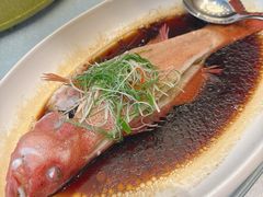 -逸林轩中餐厅(中信泰富朱家角锦江酒店)