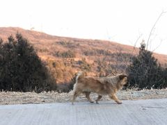 -鬼笑石后山停车场