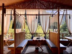 -终南山丹青茶宿