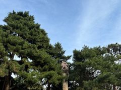 -北陵公园