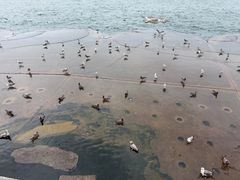 -星海广场