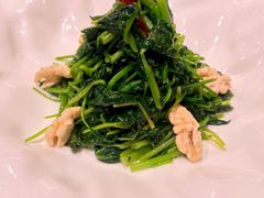 -华膳楼·安徽地标美食·中华餐饮名店(文化公园店)