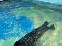 -太平洋海底世界