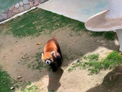 -栾川竹海野生动物园