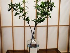 -一宽宽宴(白浮泉路店)