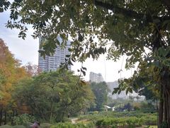 -人民公园(罗湖区)