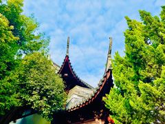 -秋霞圃