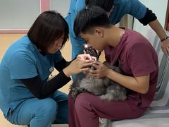 -宠颐生中康贝怡动物医院