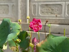-重元寺