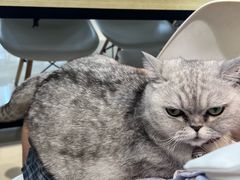 -Oasis绿洲银饰珍珠手作diy(壹方城店)