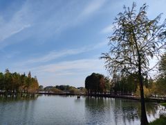 -贡湖湾湿地公园