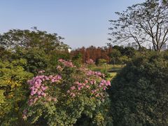 -顺峰山公园