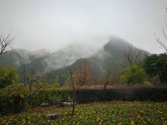 -千岛湖石林