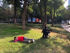 -重庆市江北嘴中央商务区中央公园